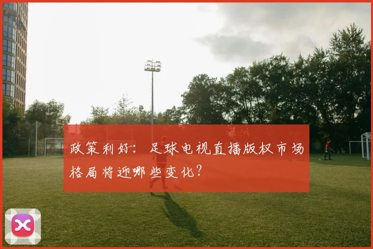 政策利好：足球电视直播版权市场格局将迎哪些变化？