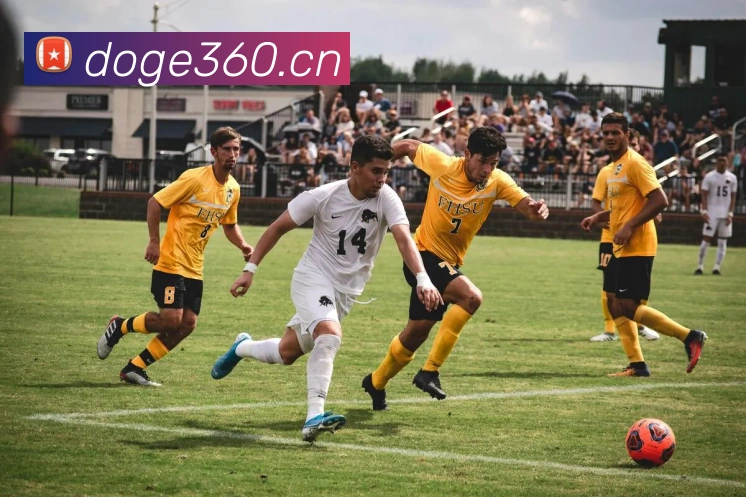 kaiyun登录入口网址服务体系